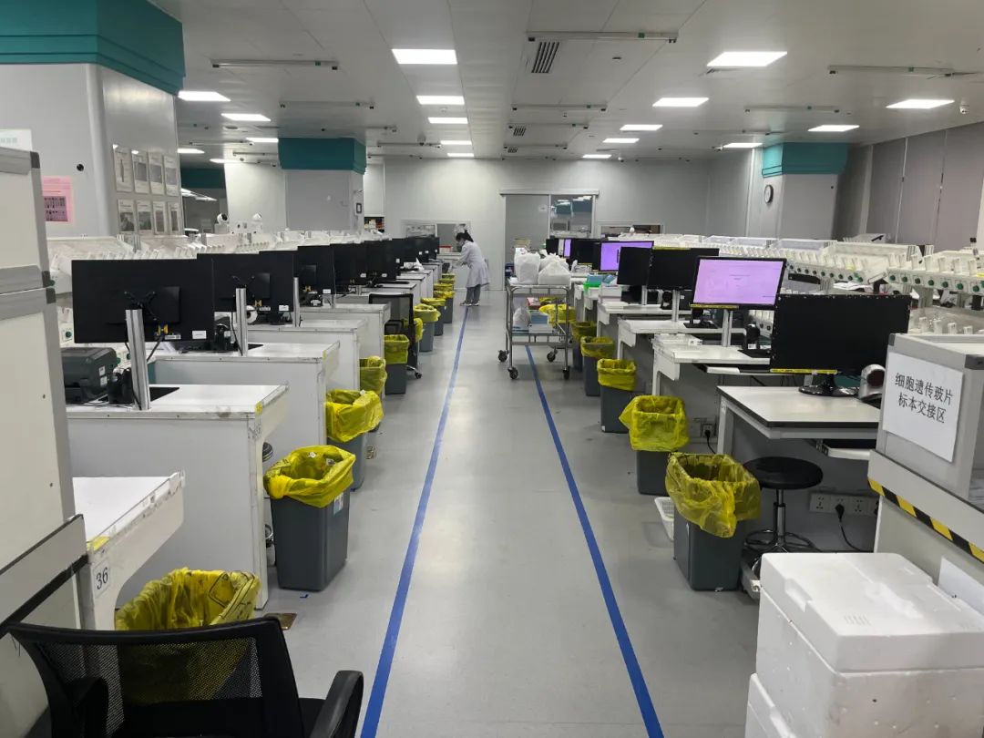 1701315793211731.jpg 333333.jpg