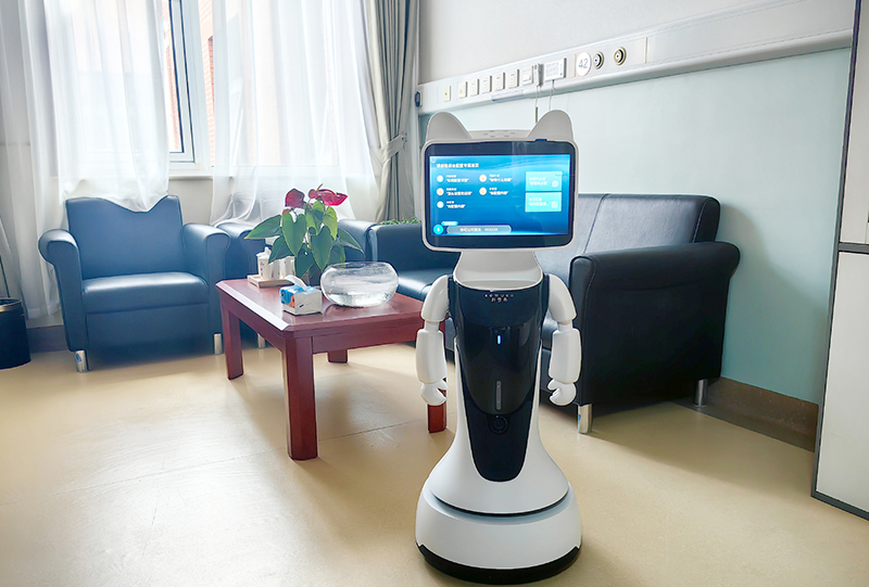 1742808796520212.jpg 8.jpg