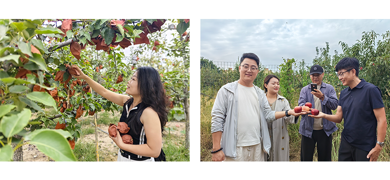 1758101671265149.png 21.png