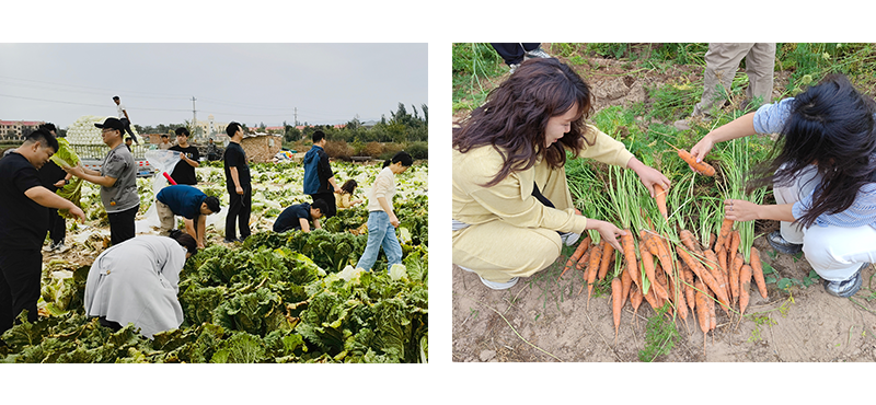 1758101700200085.png 20.png