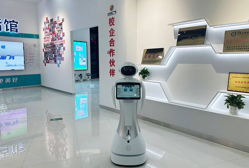 1736736790193211.jpg 3.jpg